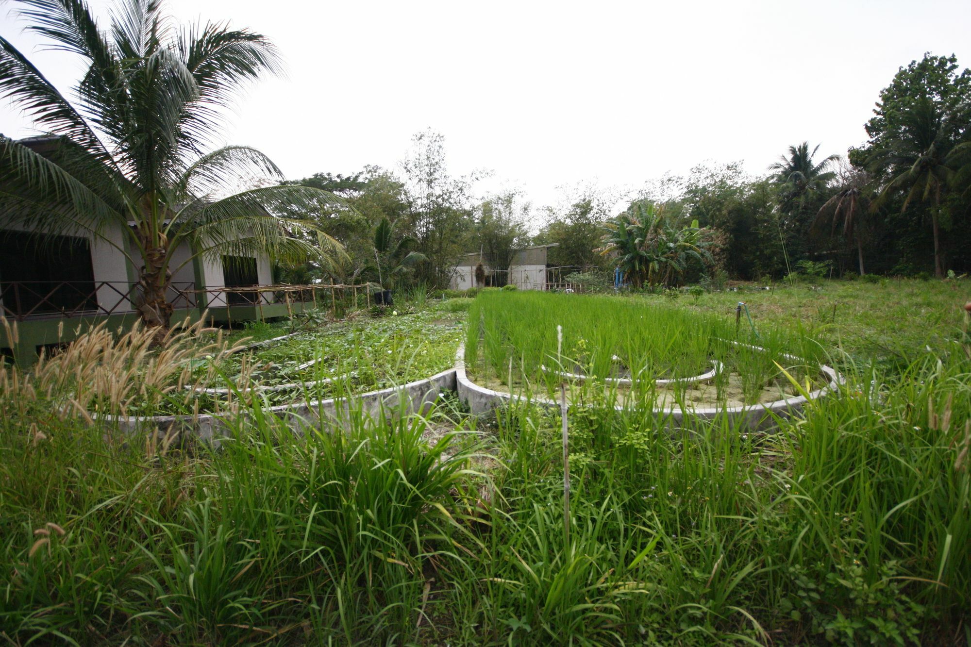 Long Lake Resort Chonburi Extérieur photo